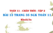 Bài 13 trang 35 Toán 11 Tập 2 Chân trời sáng tạo